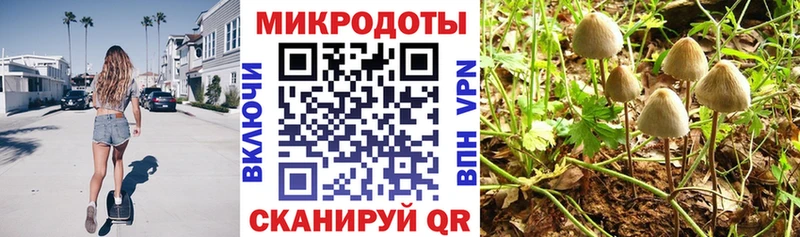 Псилоцибиновые грибы MAGIC MUSHROOMS  Юрьев-Польский 