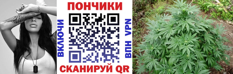 mega tor где найти Юрьев-Польский Конопля ГИДРОПОН